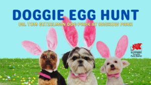 Doggie Egg Hunt 